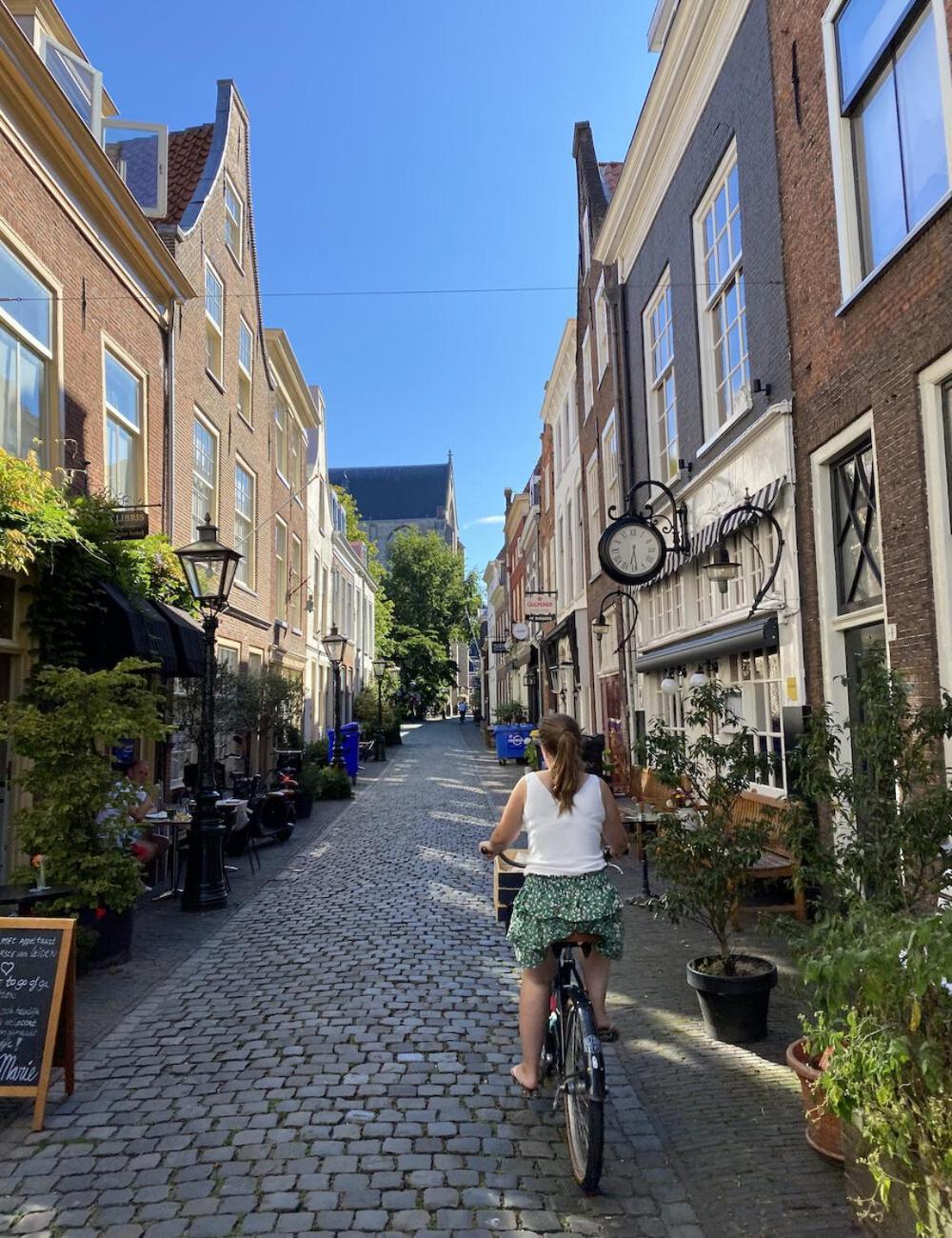 Veldhorst Leiden